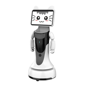 Electronic product robot